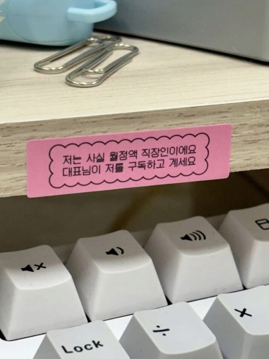 최신 구독서비스 근황.jpg_1.png