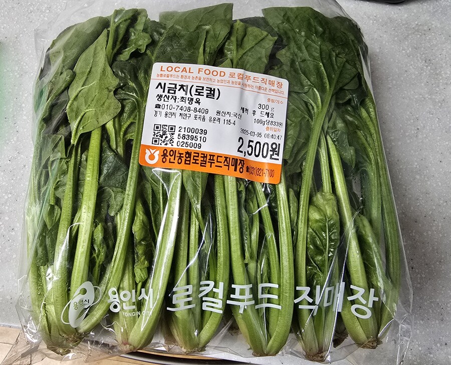 [으른양_도시락] 소풍 도시락 국룰. 김밥_1.jpg