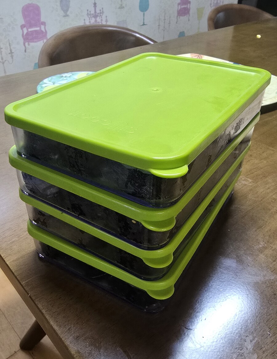 [으른양_도시락] 소풍 도시락 국룰. 김밥_16.jpg