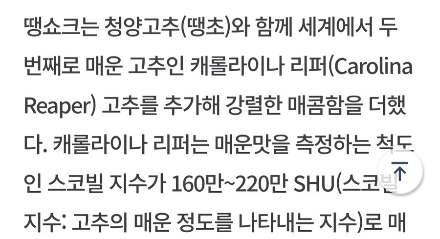 논란의 BBQ 신작_2.png