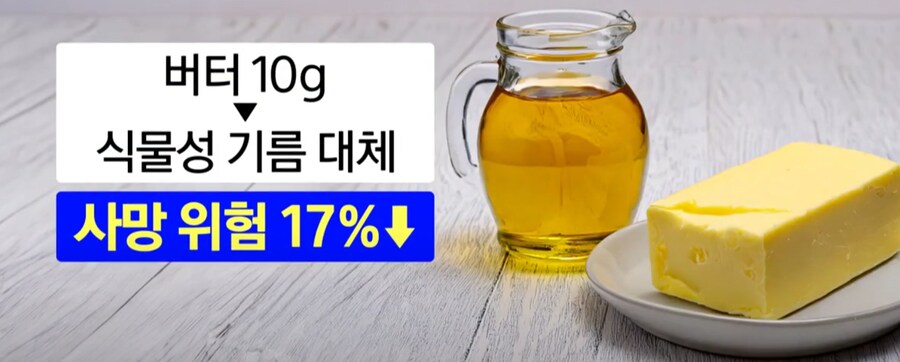 버터 근황.jpg_2.png