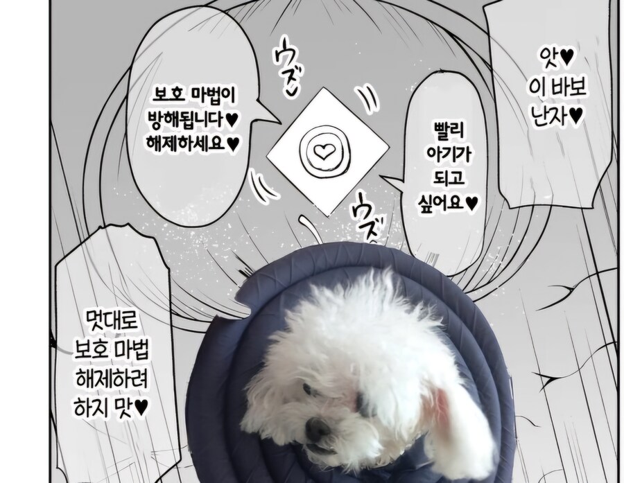 "괜찮을거야...자궁프로텍터가 있으니까"_1.jpg