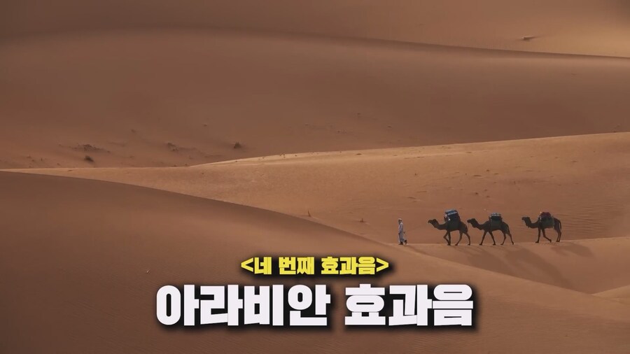 니케) 카토 아니스 성우 초대석_14.jpg