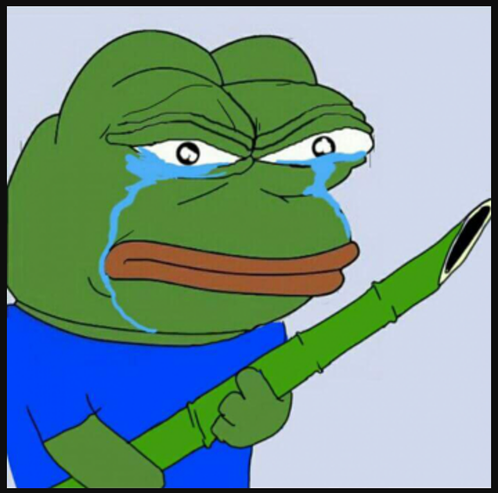 최근 매주 광란의 도파민파티를 겪는중인 여아애니 한국팬덤_8.webp