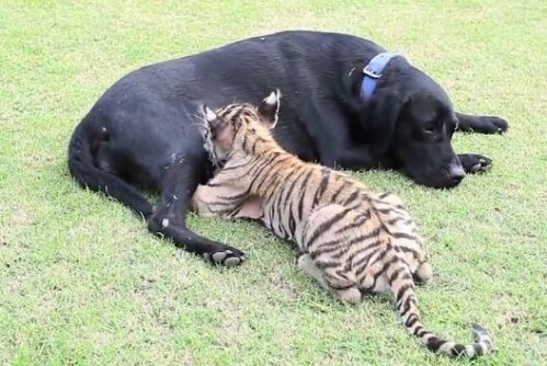 "마왕을 물리치고 돌아왔습니다, 어머니"_1.png