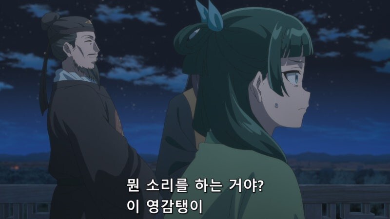 약사의혼잣말) 황제가 마오마오를 자신의 비로 삼지 않는 이유_14.jpg