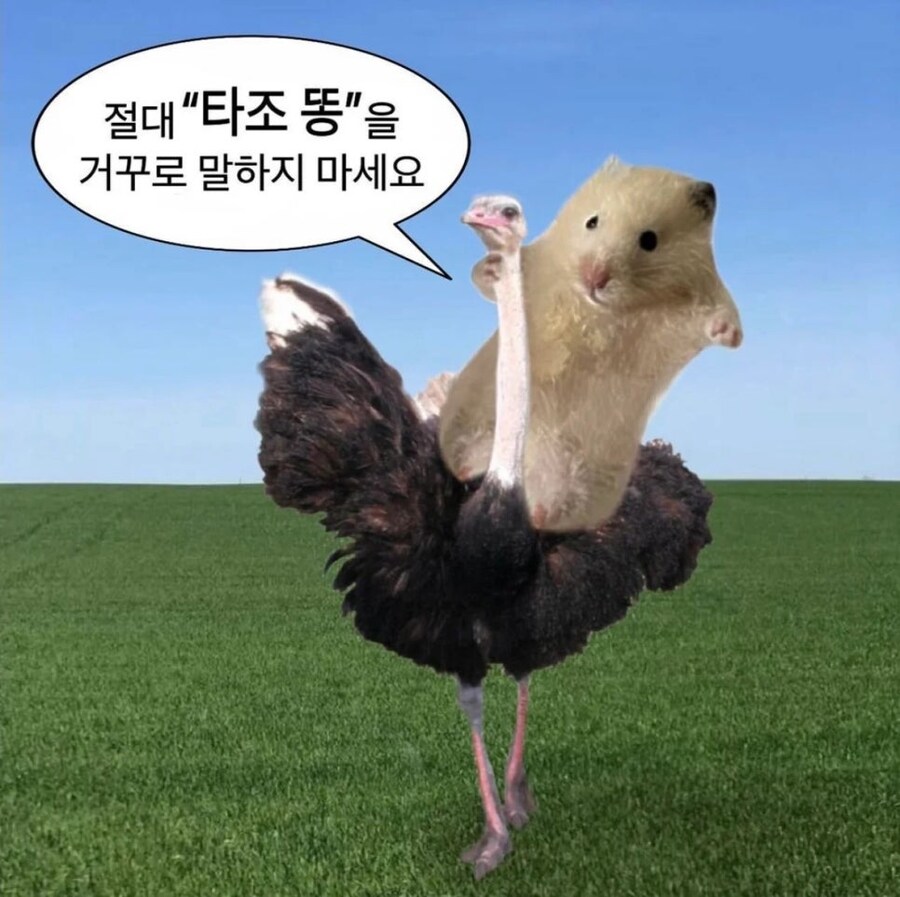 절대 거꾸로 말하면 안돼는 단어_1.jpg