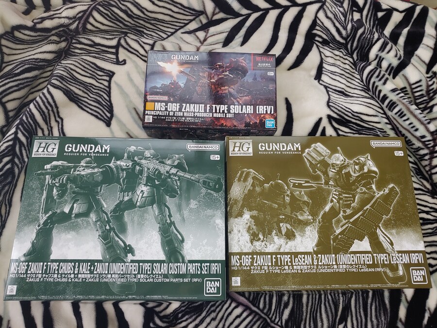 메칸더 V랑 자쿠..._3.jpg