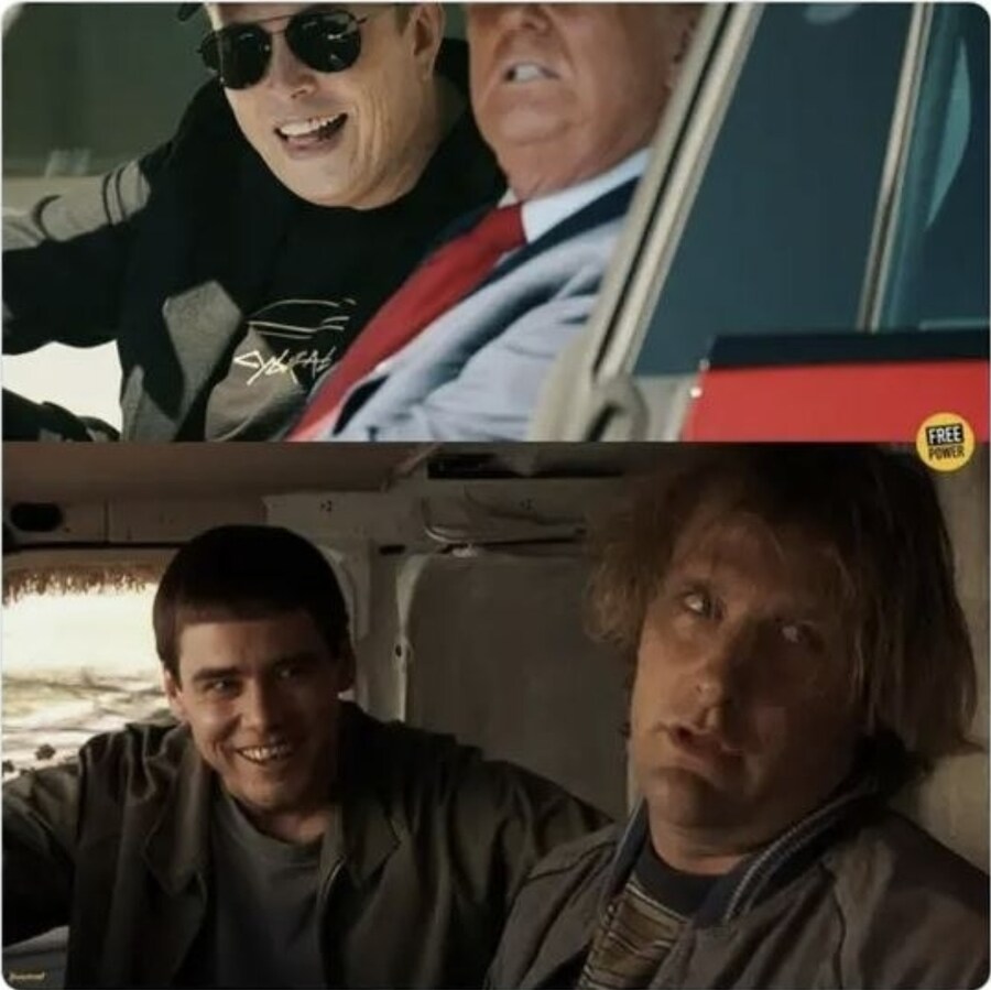 요즘 미국에서 트럼프 조롱하는 밈_2.jpg