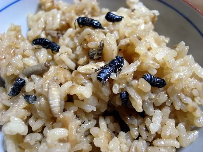 혐)심심해서 써보는 일본 음식이 짠 이유_3.webp