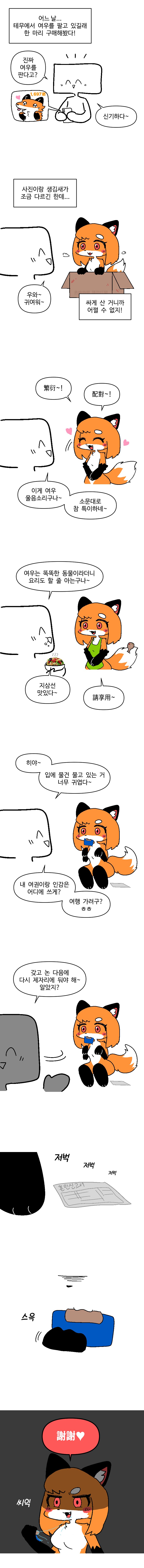 테무에서 여우를 구매한 만화.manhwa_1.png