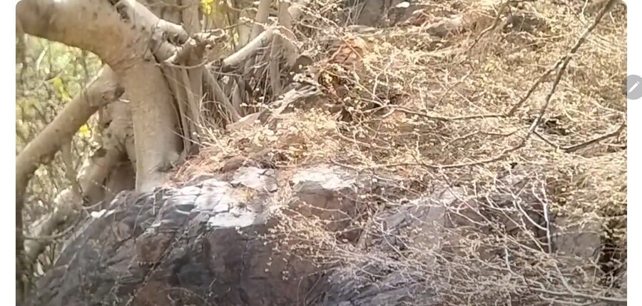 과거시험] 선비들이 시력도 좋아야 했던 이유_1.jpg