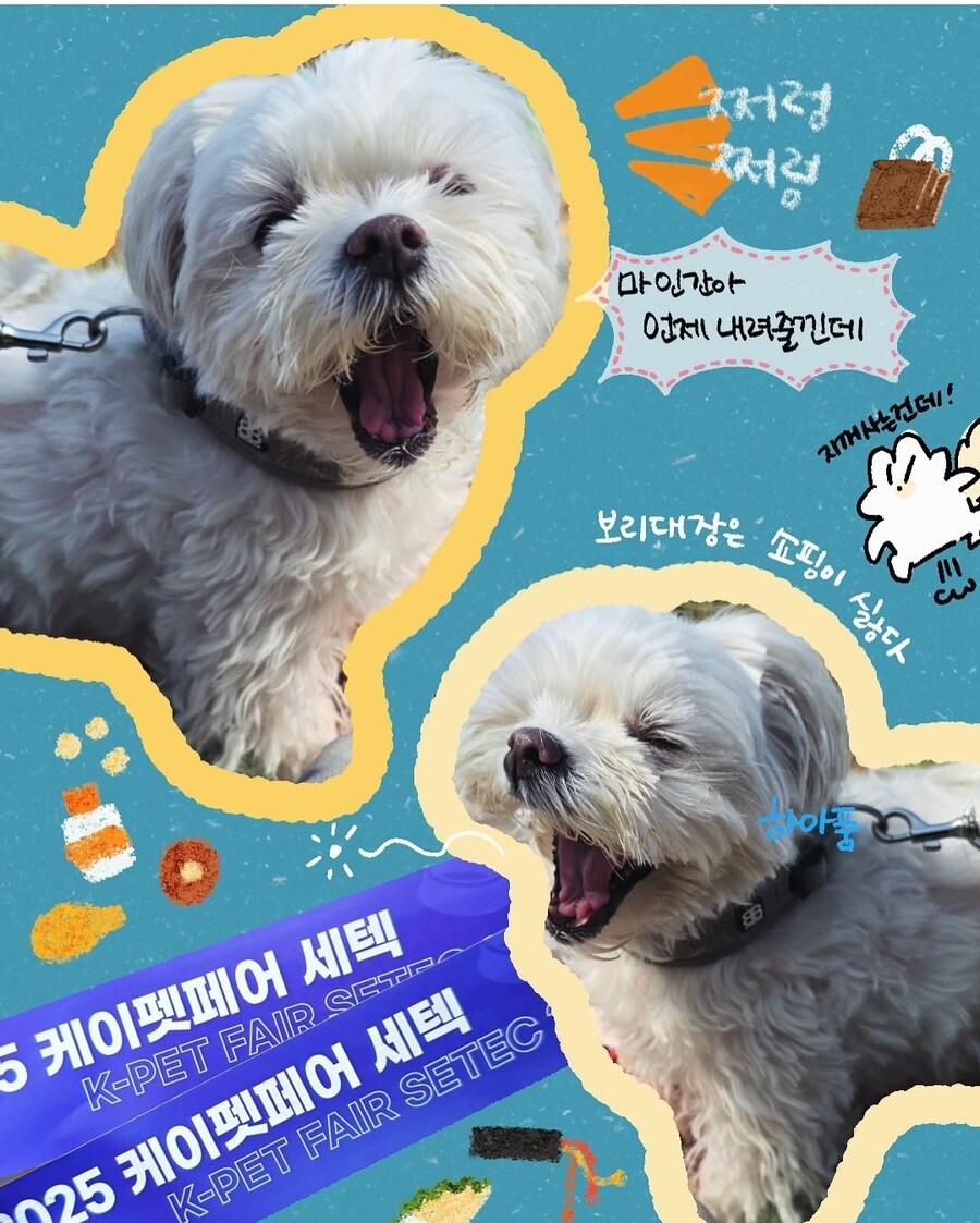 [냥뇽툰] 여름... 캠핑이었다 후기 + 4컷 만화 (강아지 사진도 있어요!)_11.jpg