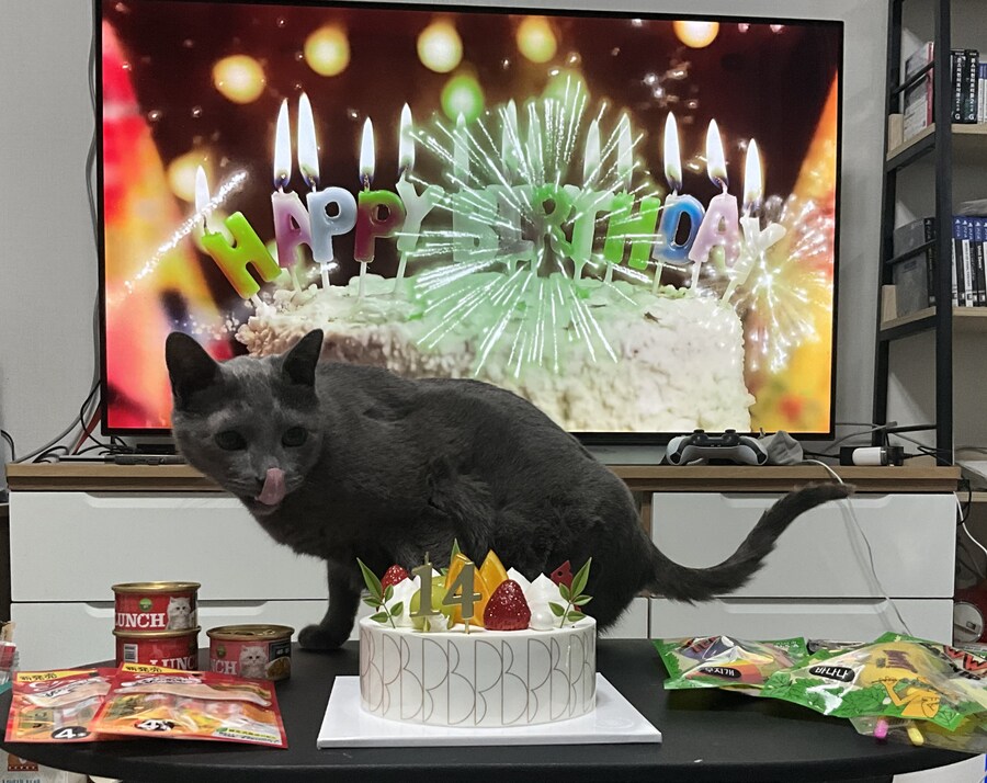 3월13일은 라온이의 14번째 생일이었습니다_3.jpg