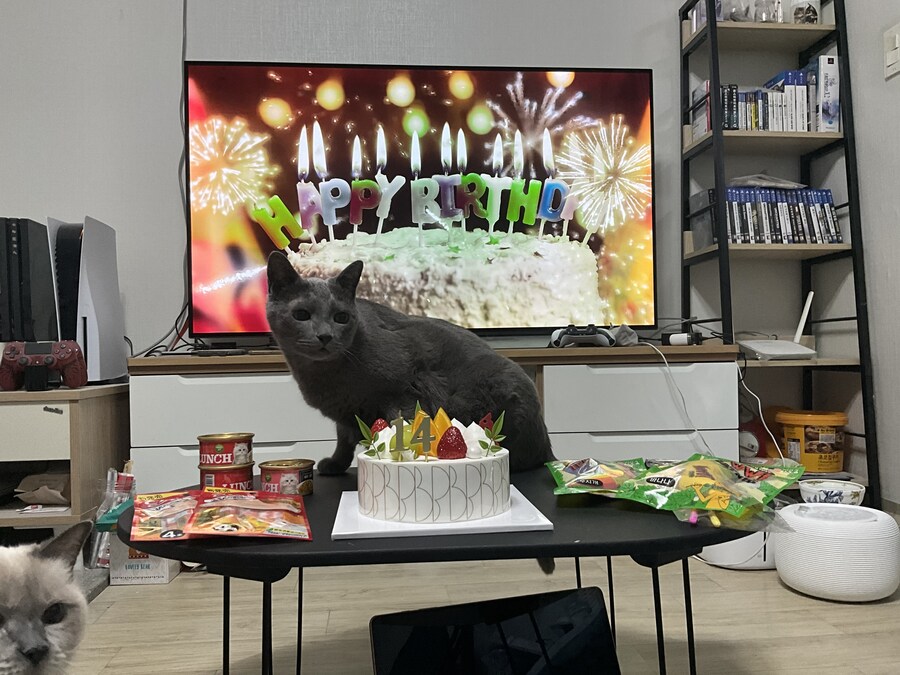 3월13일은 라온이의 14번째 생일이었습니다_4.jpg