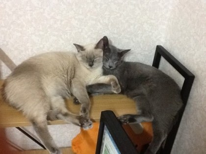 3월13일은 라온이의 14번째 생일이었습니다_23.jpg