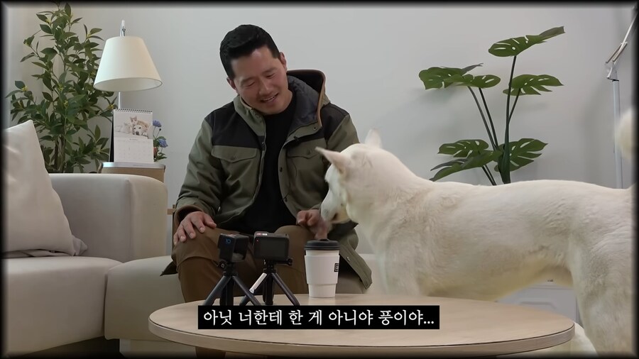 강형욱은 고양이를 불러보았다_6.png