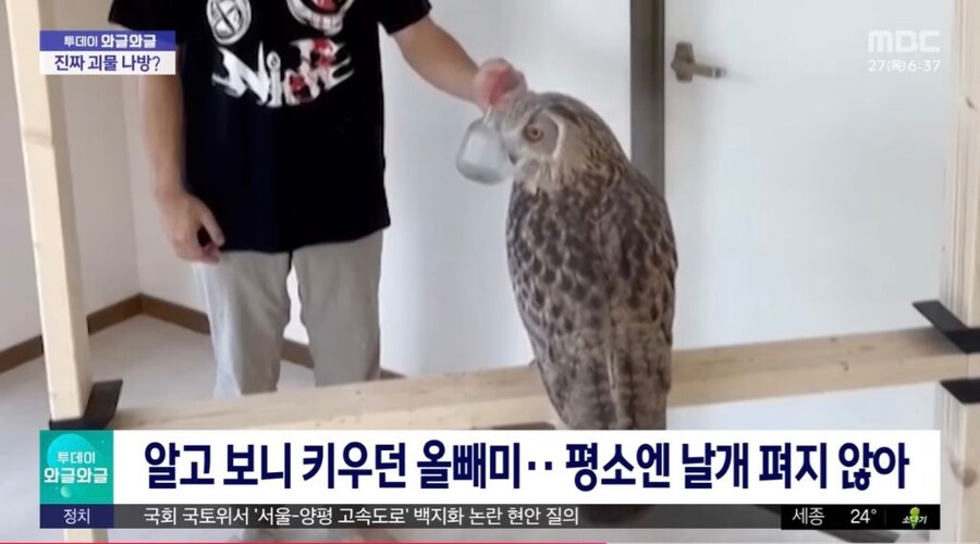 실내벽에 붙은 괴생명체_3.jpg