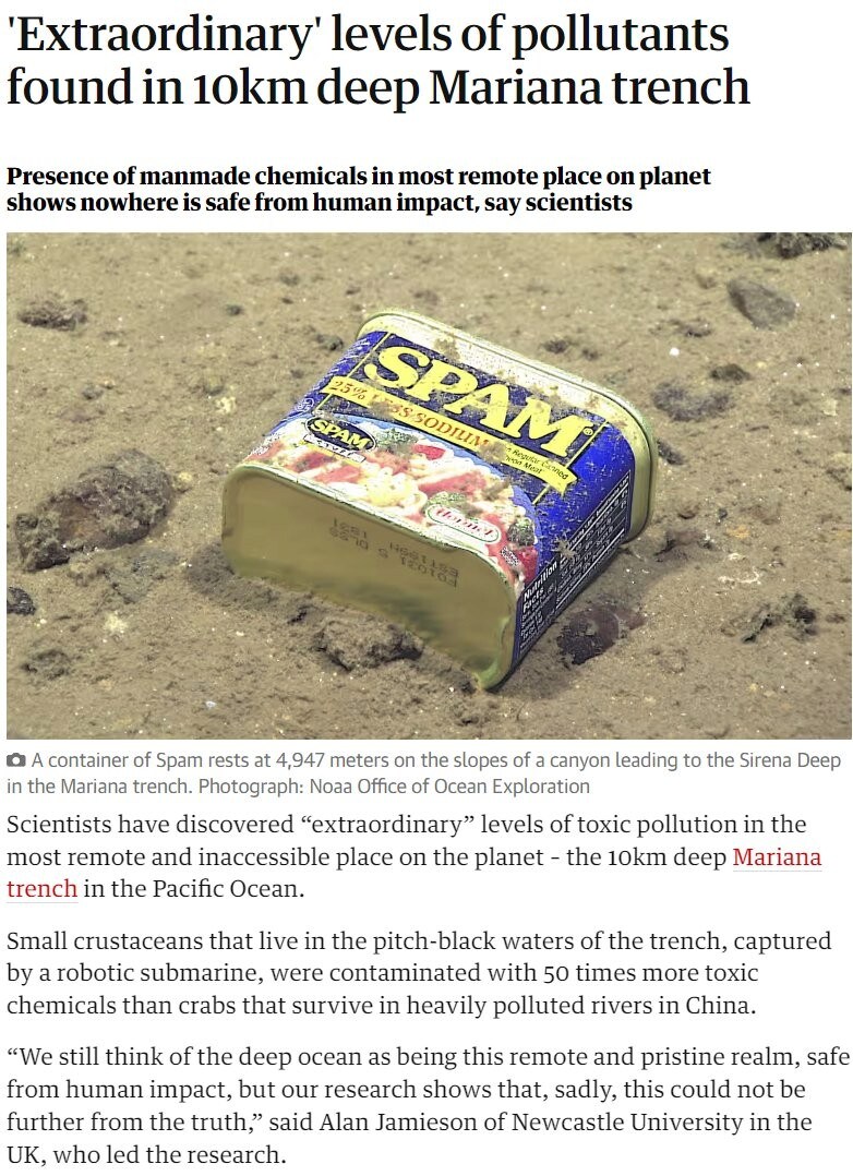 수심 5000m 심해에서도 멀쩡한 물건.jpg_1.png