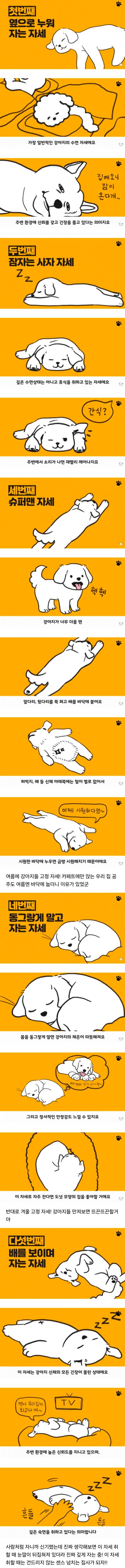 강아지의 상황별 수면자세_1.png