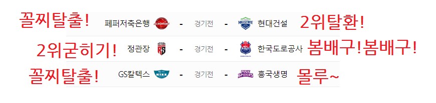 지금 여자 배구가 졸라 재밌는 이유_3.png