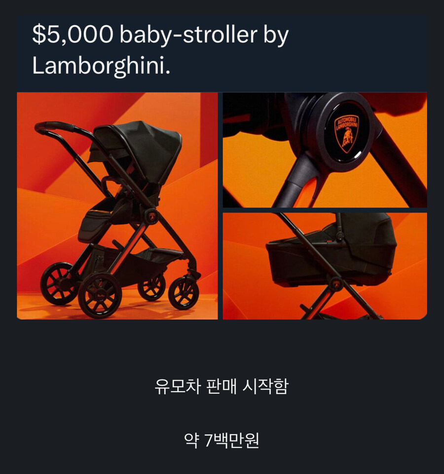 7백만원으로 람보르기니 차주 되는 법.jpg_1.jpg