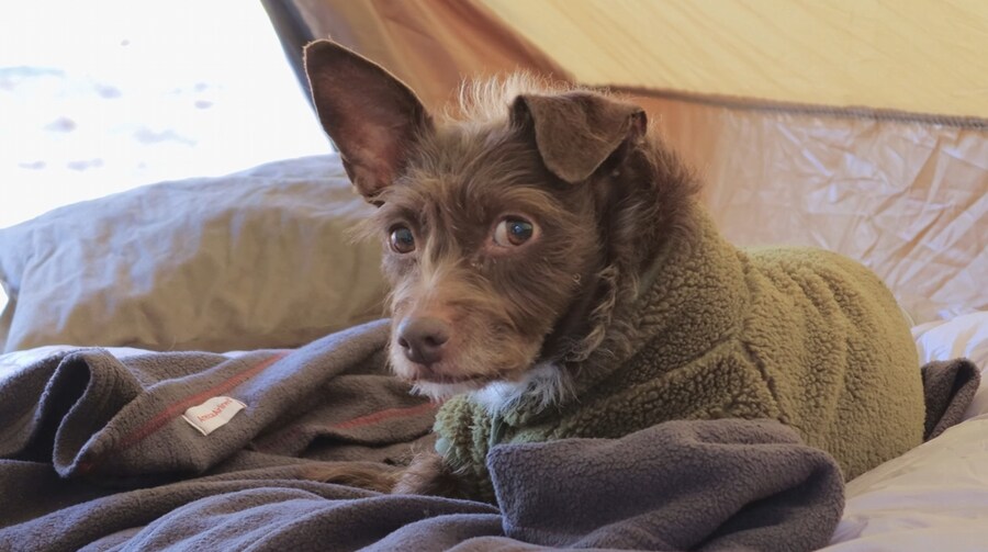 텐트에서 요리를 해보는 외국인_16.jpg