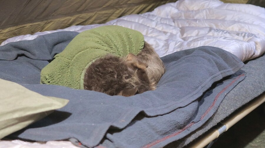 텐트에서 요리를 해보는 외국인_39.jpg