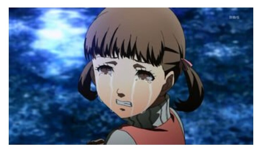 페르소나) 너무 귀찮았던 디시인_2.jpg