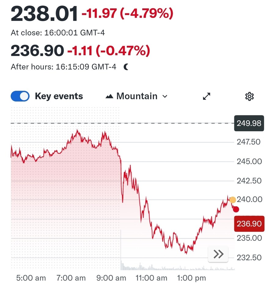 테슬라 주가 4.79% 하락_1.jpg