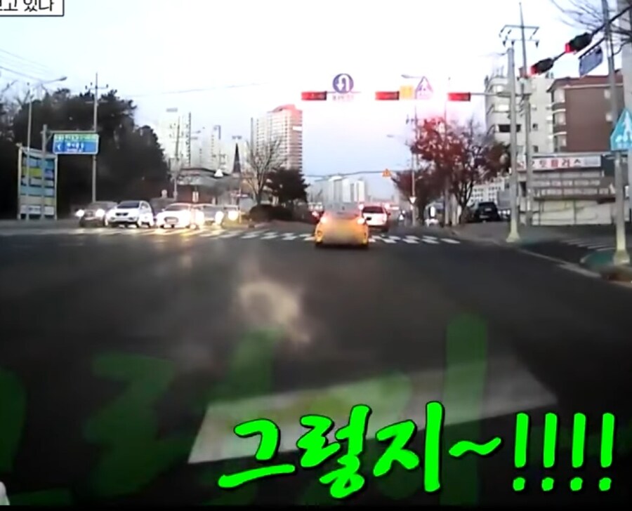 출근길에 매번 보던 신호위반 차를 신고할려했던 사람_9.jpg