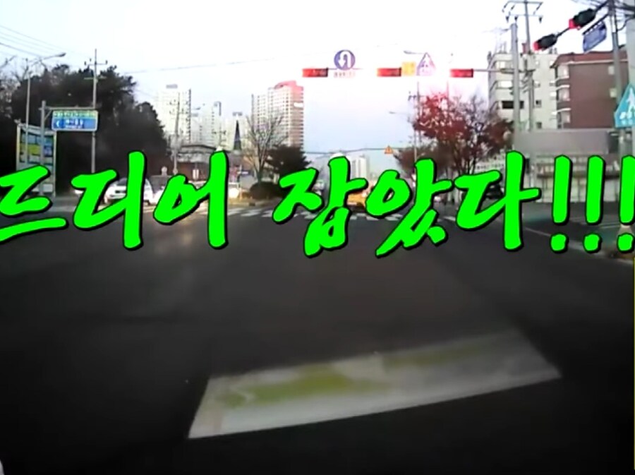 출근길에 매번 보던 신호위반 차를 신고할려했던 사람_10.jpg