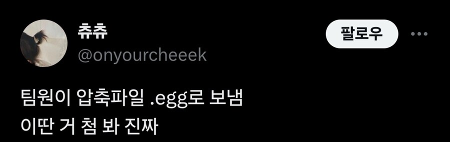 팀원이 압축파일 .egg로 보냄..._1.jpg