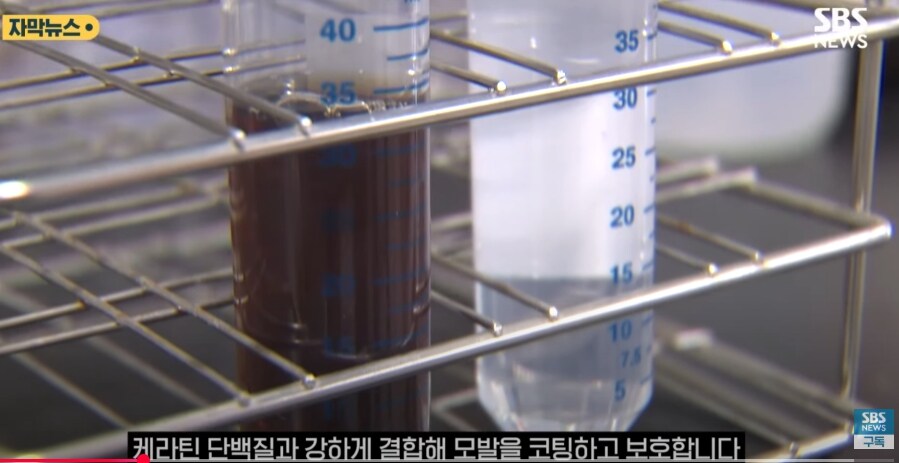 홍합 껍데기로 탈모 예방.jpg_6.jpg