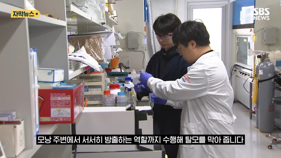 '홍합' 근황류 甲_10.png