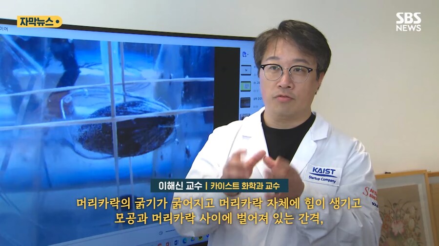 '홍합' 근황류 甲_19.png