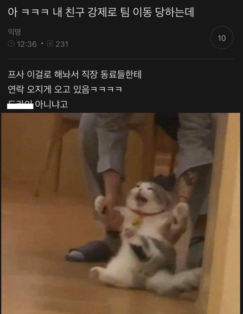 강제 팀 이동 당한 친구 프사.jpg_1.jpg