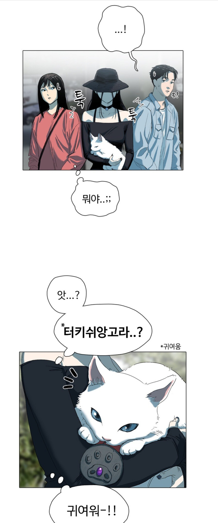 고양이 함부로 버리는 사람 전부 잡아야 하는 이유_1.jpg