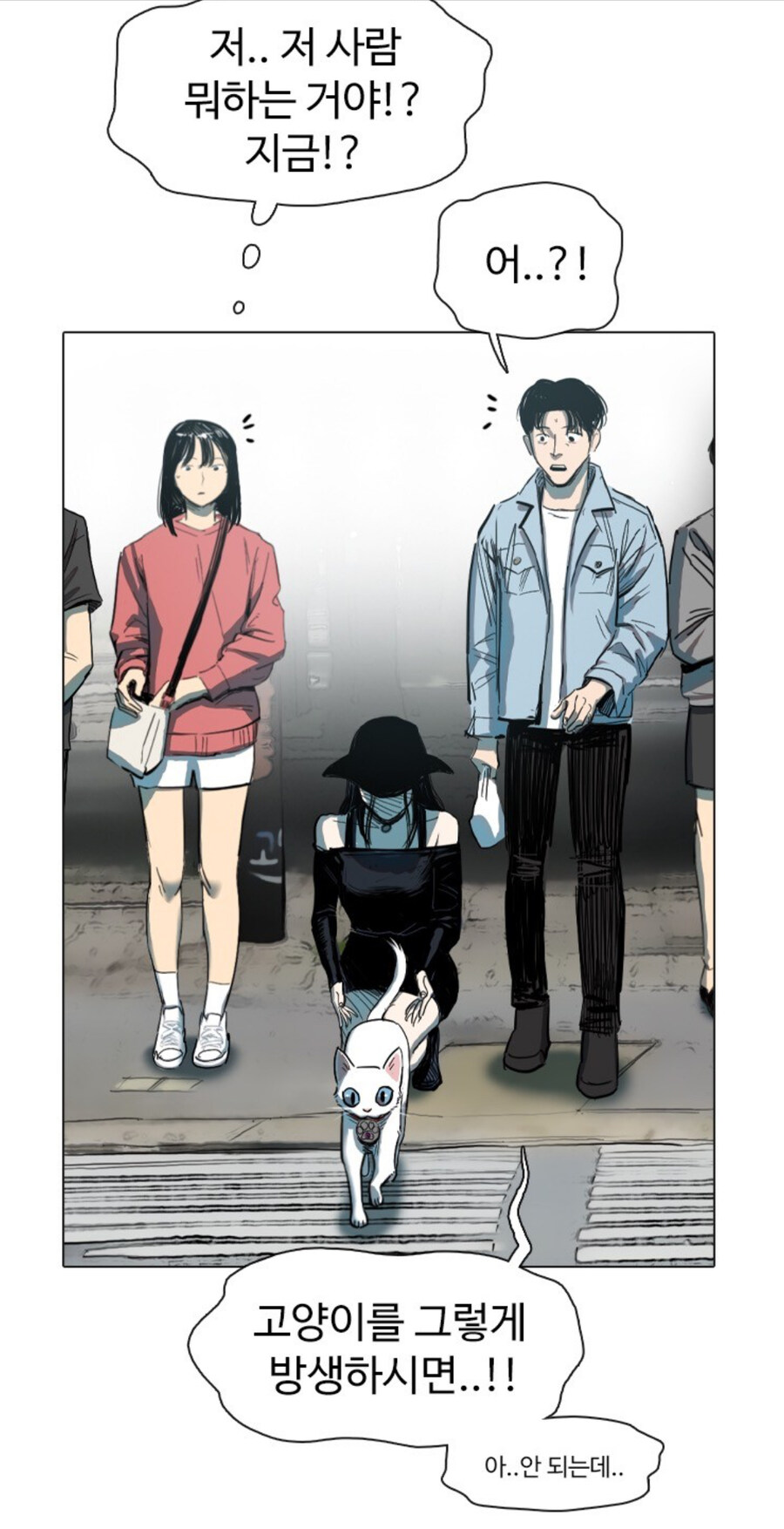 고양이 함부로 버리는 사람 전부 잡아야 하는 이유_4.jpg