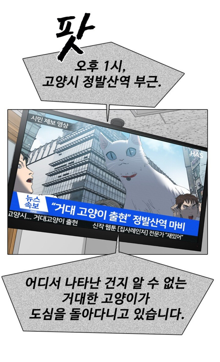 고양이 함부로 버리는 사람 전부 잡아야 하는 이유_9.jpg