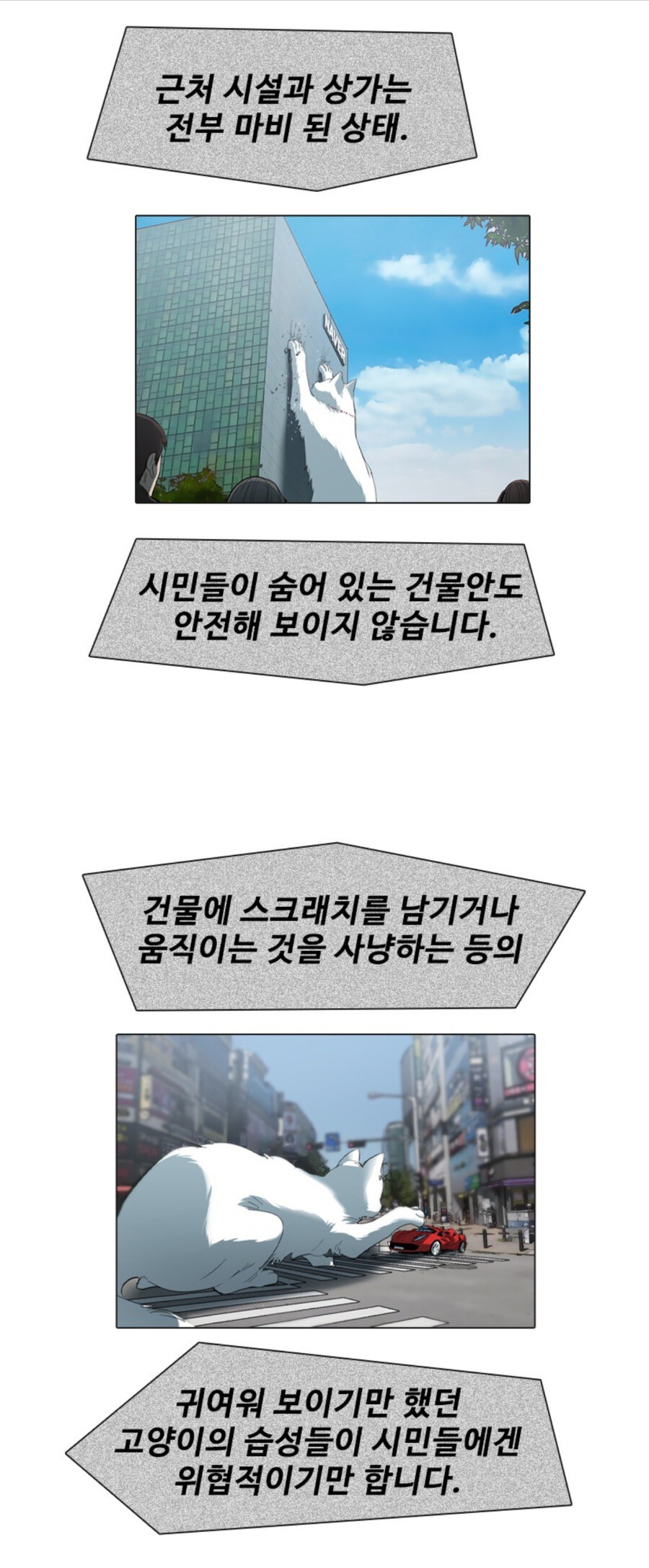 고양이 함부로 버리는 사람 전부 잡아야 하는 이유_10.jpg