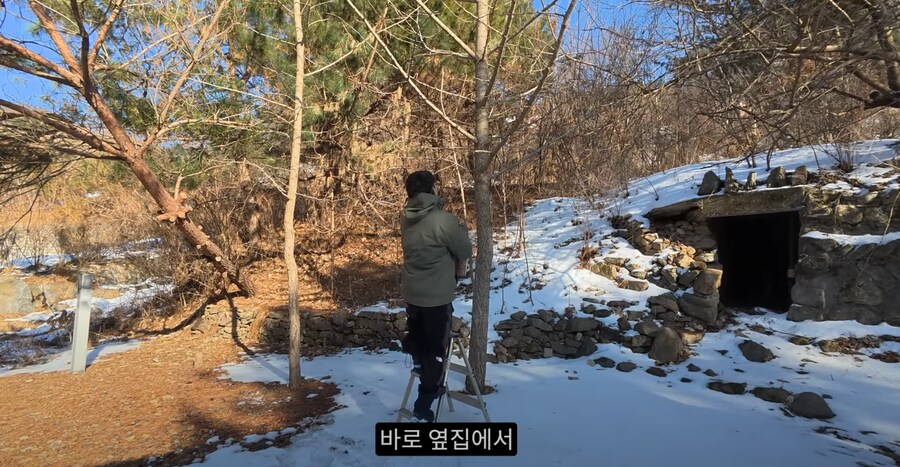 새 모이통은 무조건 높이 달 수록 좋은 이유_3.png