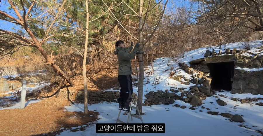 새 모이통은 무조건 높이 달 수록 좋은 이유_4.png