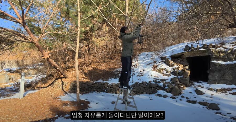 새 모이통은 무조건 높이 달 수록 좋은 이유_7.png