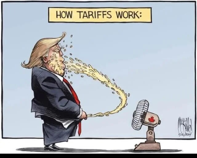 관세에 대한 만평_1.png