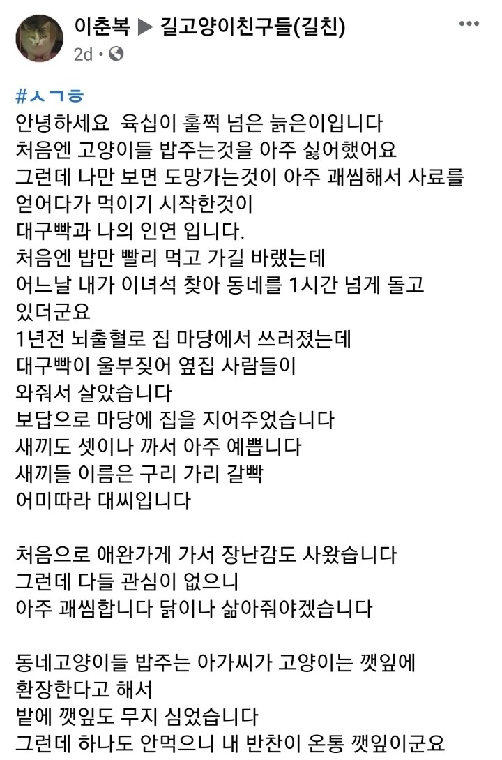 고양이가 괘씸한 어느 아저씨_1.jpg