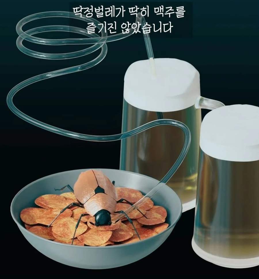 거대 보석 딱정벌레가 급감했던 이유_3.webp