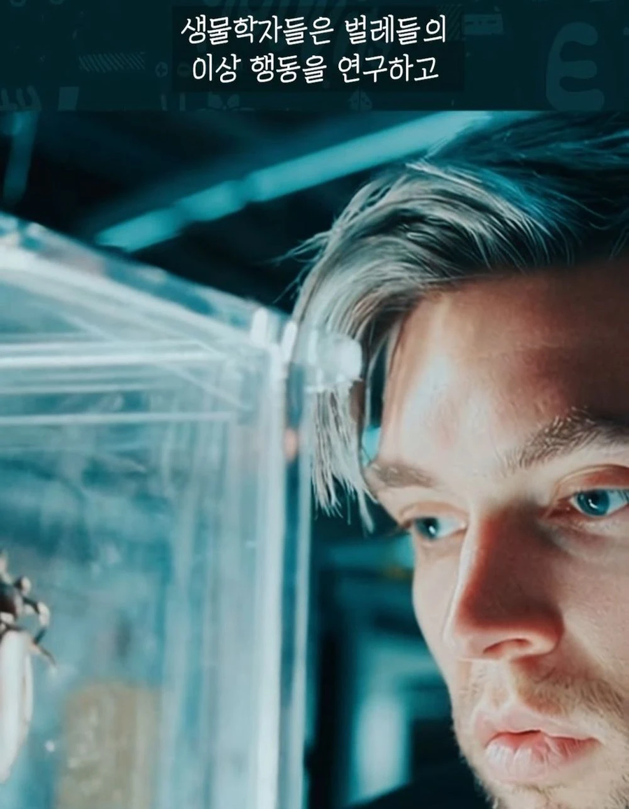 거대 보석 딱정벌레가 급감했던 이유_6.webp