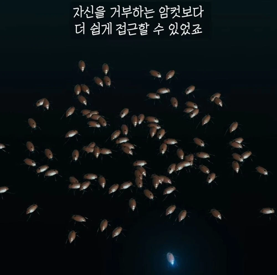 거대 보석 딱정벌레가 급감했던 이유_13.webp