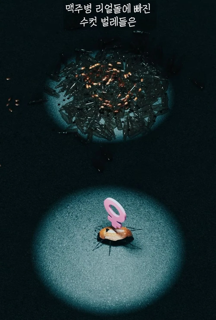 거대 보석 딱정벌레가 급감했던 이유_14.webp